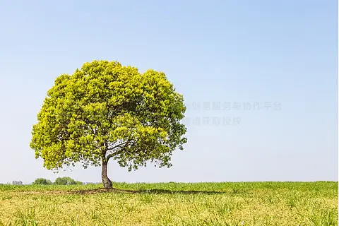 智能照明系统：提升商业地产的绿色与节能效能